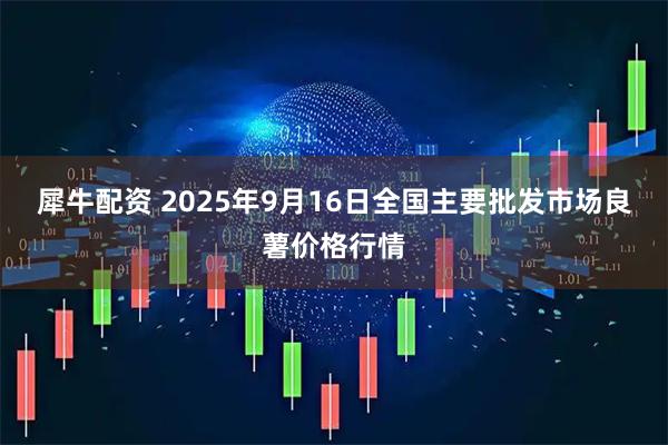 犀牛配资 2025年9月16日全国主要批发市场良薯价格行情