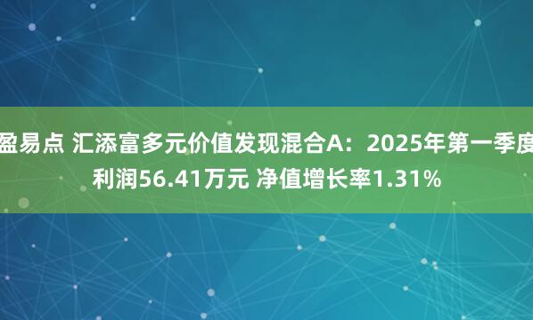 盈易点 汇添富多元价值发现混合A：2025年第一季度利润56.41万元 净值增长率1.31%